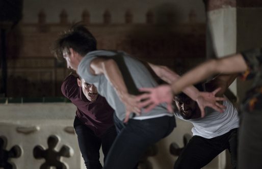 Tres grandes momentos de danza en 2017 según Rosalía Gómez