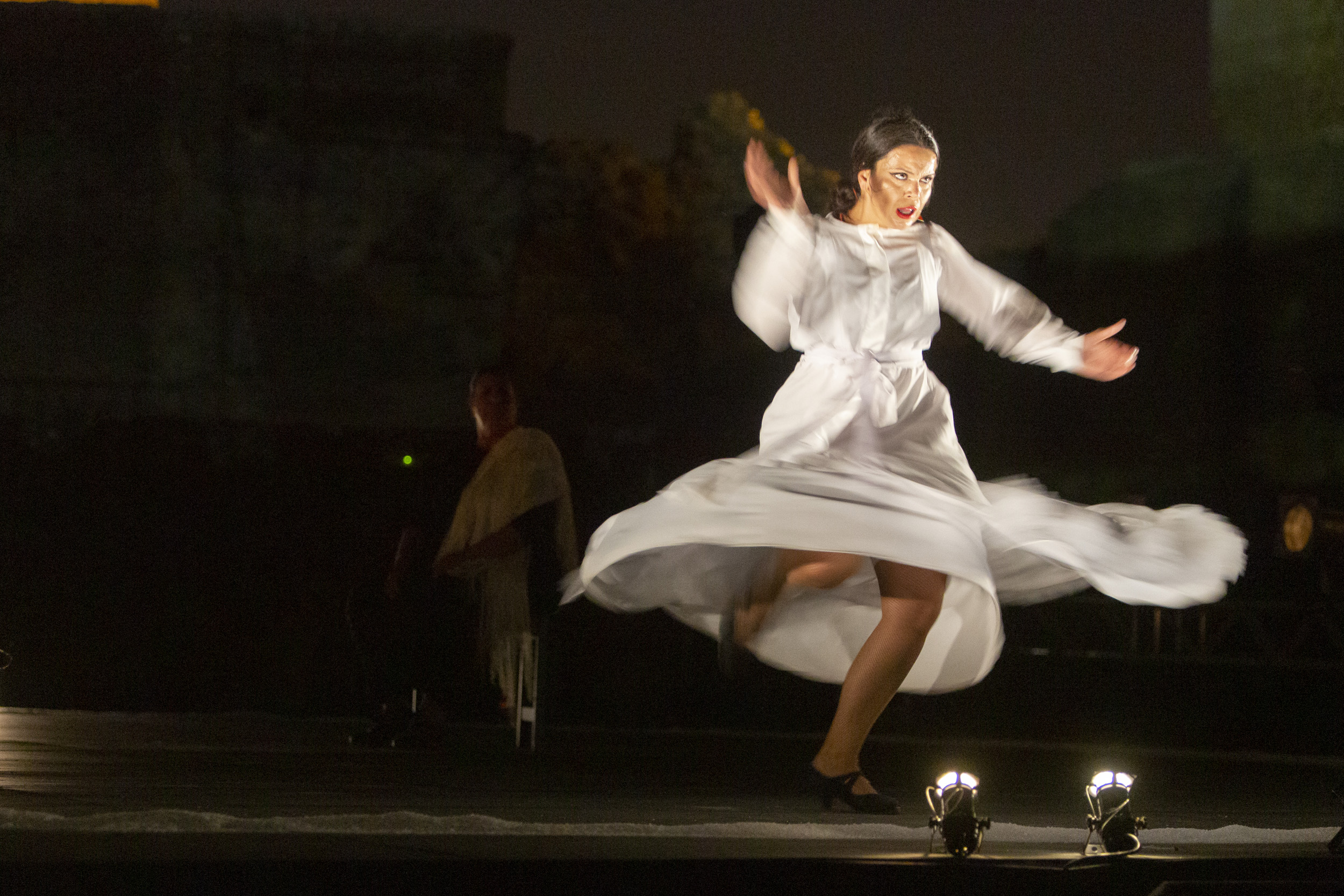 MARÍA MORENO: VERSO LIBRE [WORK IN PROGRESS]. Evento finalizado