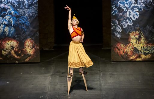 El viaje sin fronteras de  ‘Romances Inciertos, un autre Orlando’