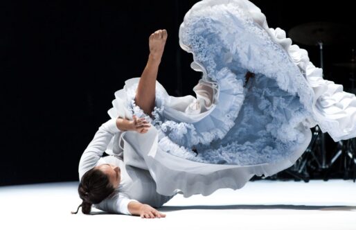 ‘LA DANZA. CUERPOS EN MOVIMIENTOS A TRAVES DE LA HISTORIA’, un nuevo título literario para leer la danza.