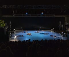 Tanzensemble Pfalztheater Kaiserslautern ©ManuSuá-Cápsula33-28